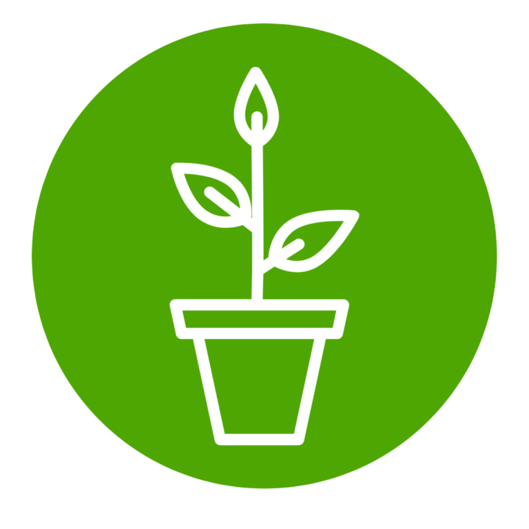 growth icon